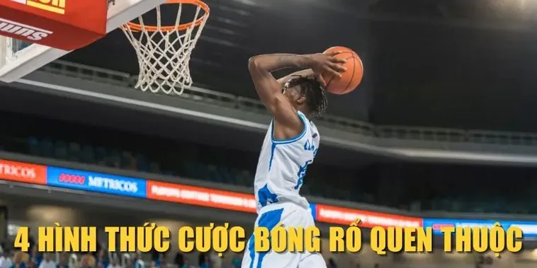 Tìm Hiểu Cá Cược Bóng Rổ 79King: Hành Trình Khám Phá Đỉnh Cao