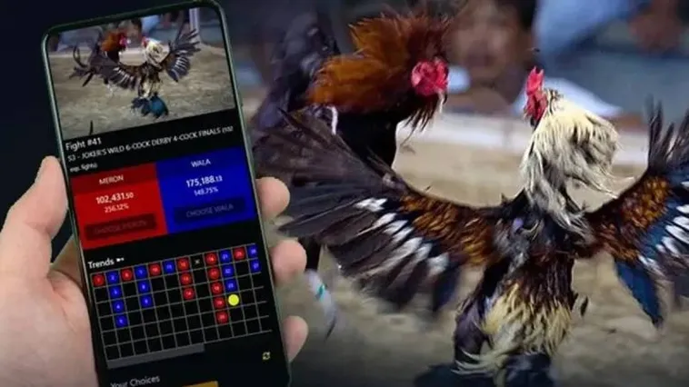 Cách Chơi Đá Gà WS168 Tại 79King: Hướng Dẫn Chi Tiết Nhất 1 Cách Chơi Đá Gà WS168 Tại 79King: Hướng Dẫn Chi Tiết Nhất