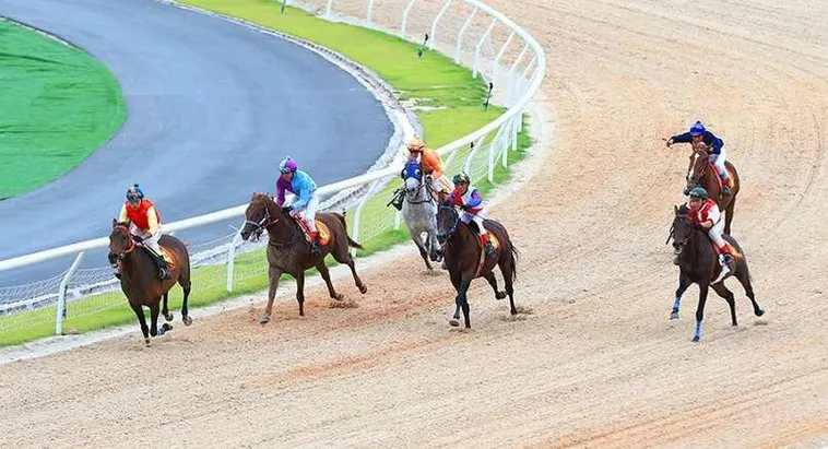 Tìm Hiểu Cá Cược Đua Ngựa 79King: Hành Trình Giải Trí Đỉnh Cao